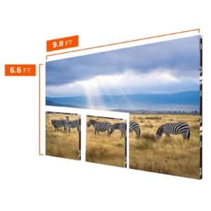 P3.91-9.8x6.6-FT